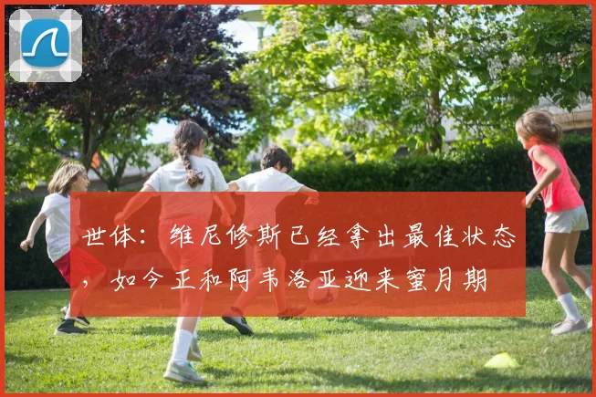 世体：维尼修斯已经拿出最佳状态，如今正和阿韦洛亚迎来蜜月期