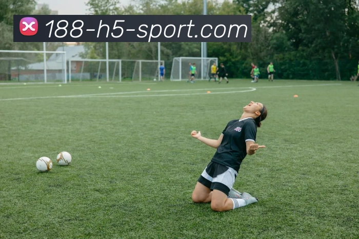 188体育平台生态图